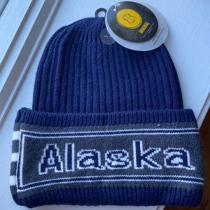 Alaska Beanie by Robin Ruth Original